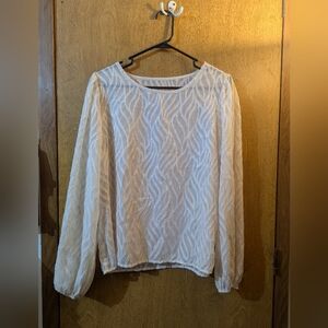 Shein Long Sleeve Sheer Blouse